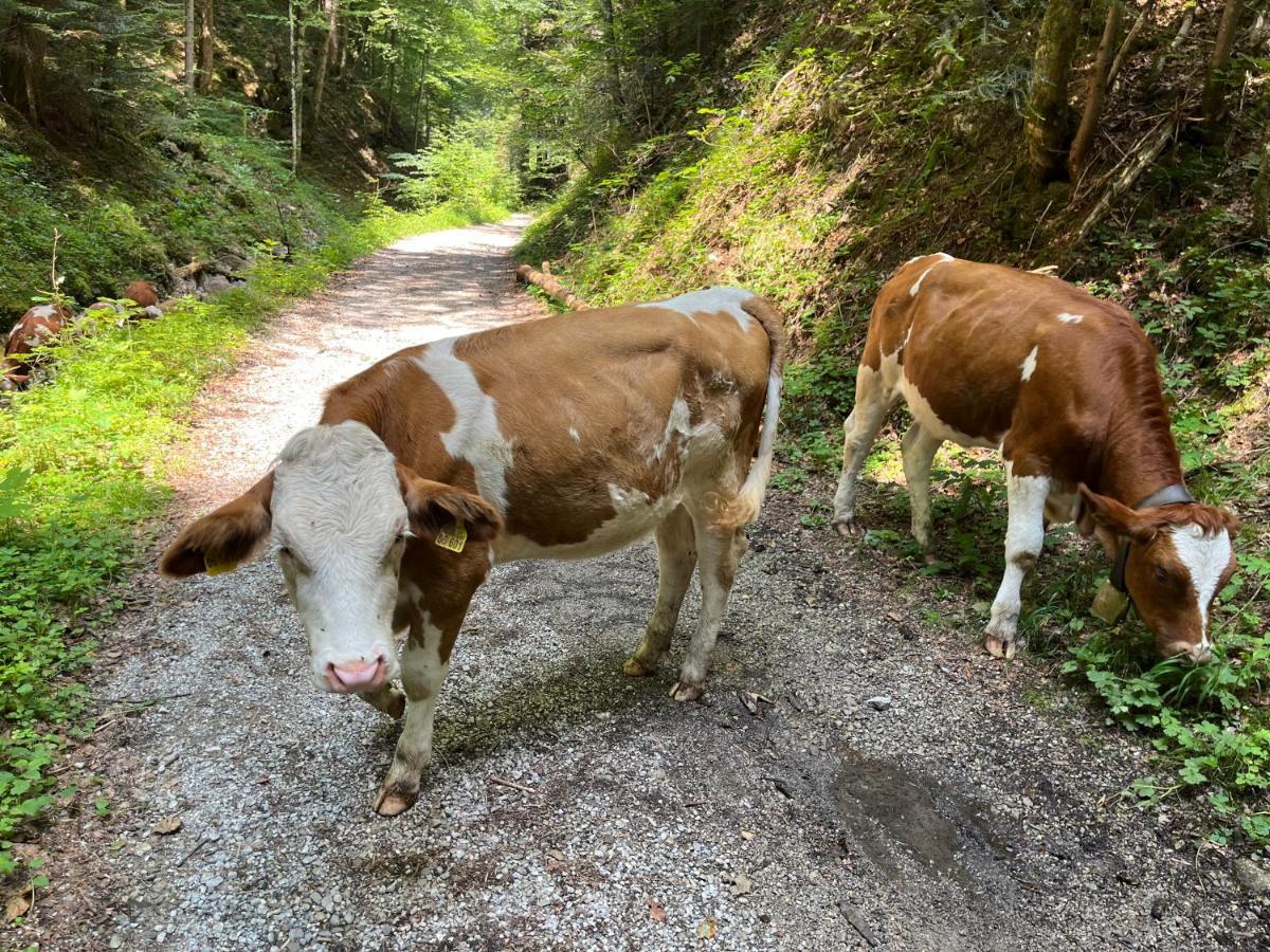Das Kirchbichl - Stylisch Laessig, Mit Eigener Sauna Schliersee Esterno foto